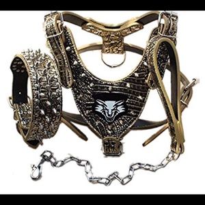 01040 Medium & Large Breed Leather Spike collar
